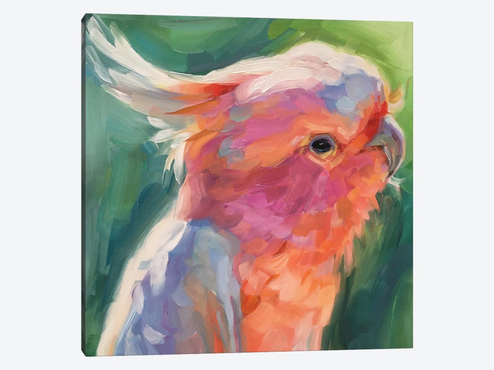 Parrot Study by Holly Storlie 1-piece Art Print