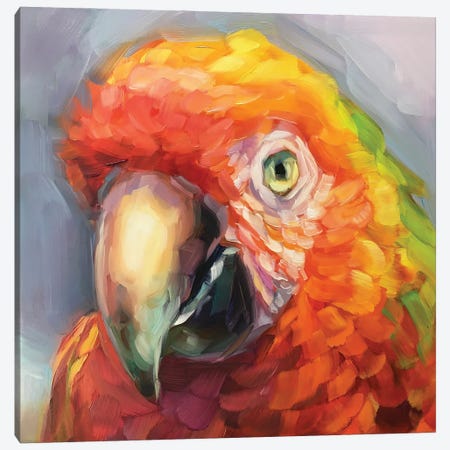 Parrot Study II Canvas Print #HSR7} by Holly Storlie Canvas Print