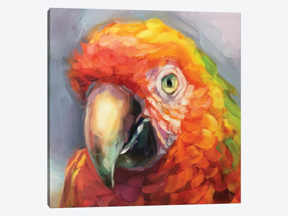 Parrot Study II by Holly Storlie 1-piece Canvas Wall Art