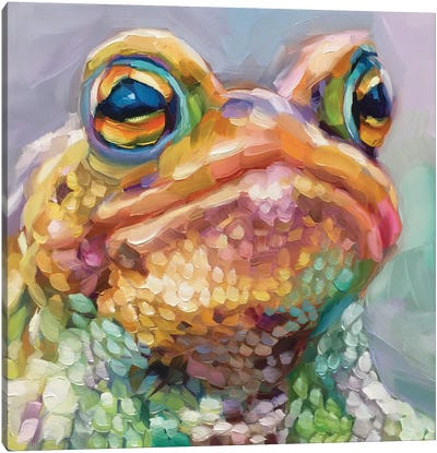 Mini Frog Study II Canvas Art Print - Holly Storlie