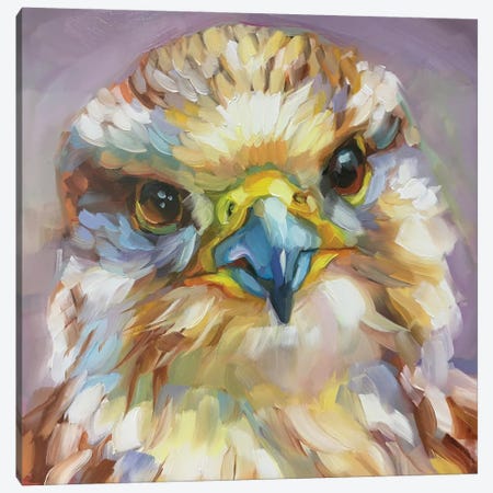 Mini Bird Study Canvas Print #HSR9} by Holly Storlie Canvas Artwork