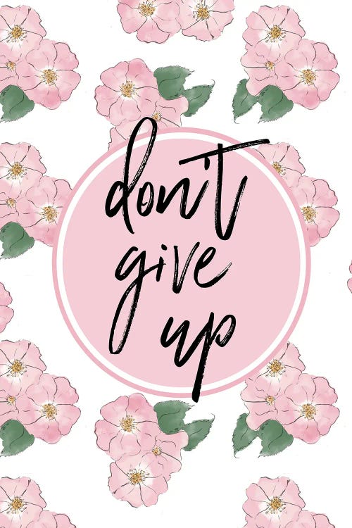 Don't Give Up