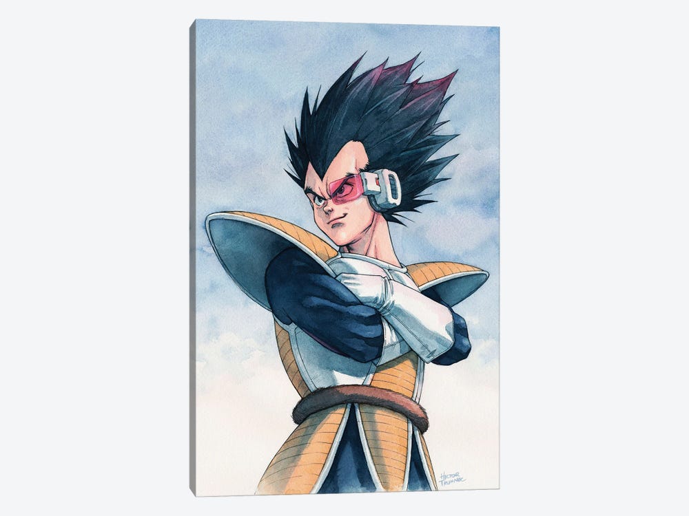 Vegeta by Hector Trunnec 1-piece Canvas Wall Art
