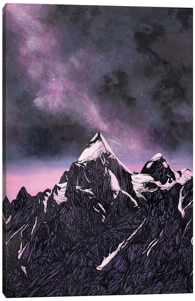 Joyful Night Canvas Art Print - Aurora Borealis Art