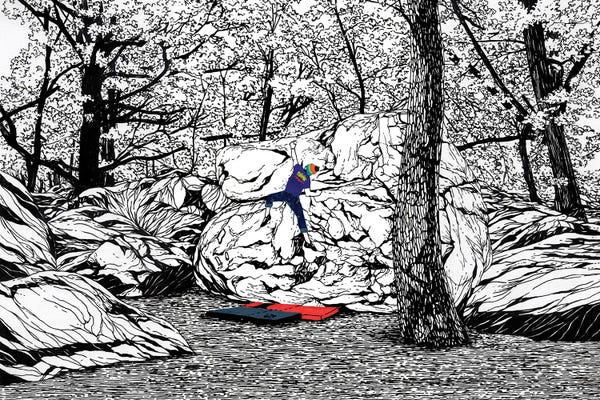 Adventure: The Quiet Of The Forest by Coralie Huon