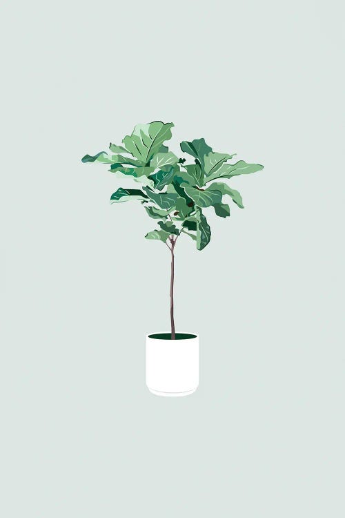 Fiddle Leaf Tree