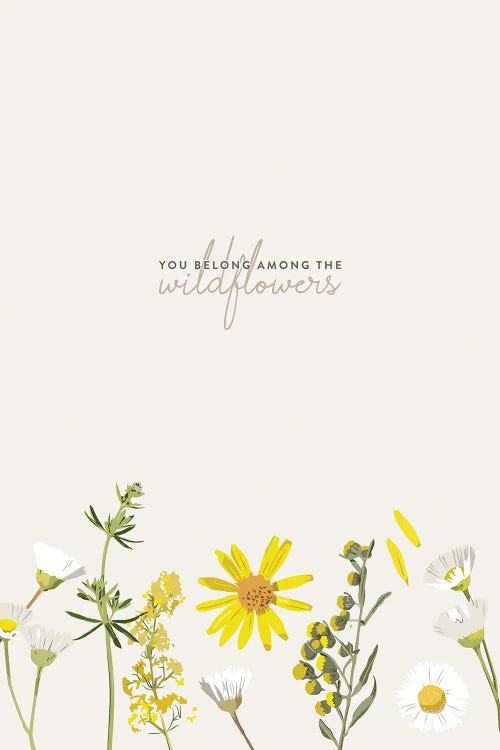 You Belong Among The Wildflowers - Tom Petty