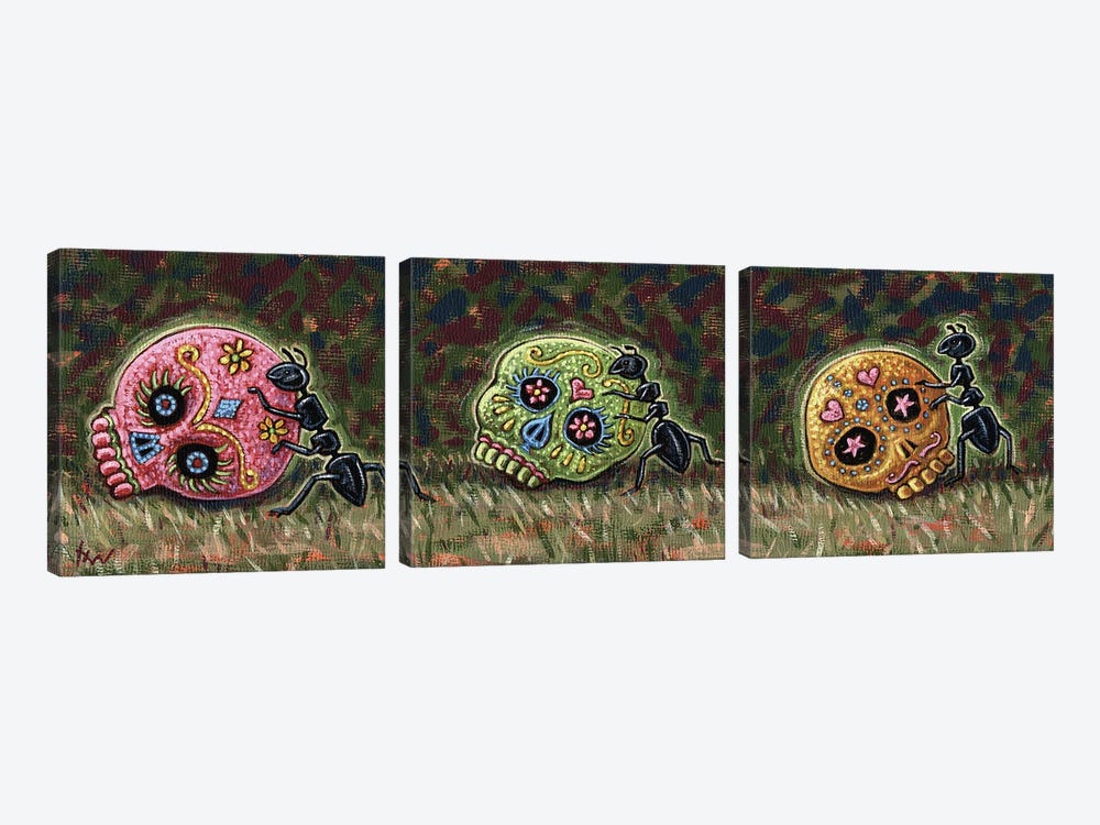 Ants & Sugar Skulls by Holly Wood 3-piece Canvas Artwork