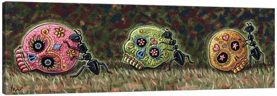 Ants & Sugar Skulls Canvas Art Print - Holly Wood