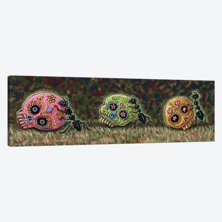 Ants & Sugar Skulls Canvas Print #HWD12} by Holly Wood Art Print