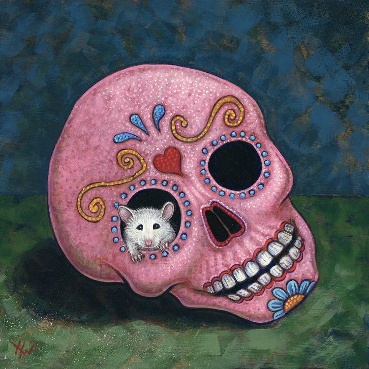 Casa Calavera