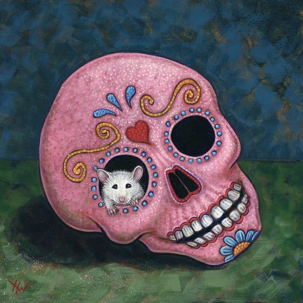 Rodents: Casa Calavera by Holly Wood