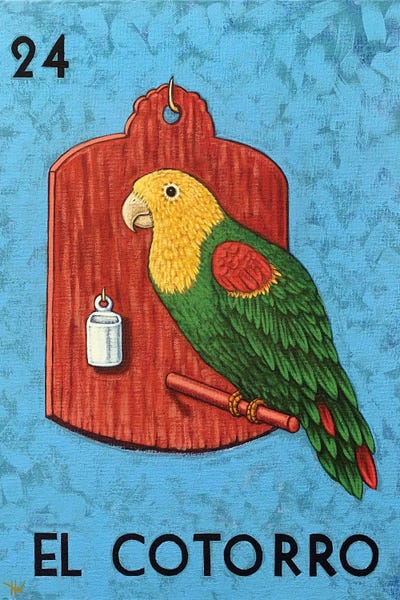 Parrots: El Cotorro by Holly Wood