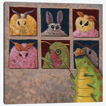 Faces Of Moth Canvas Print #HWD43} by Holly Wood Canvas Wall Art