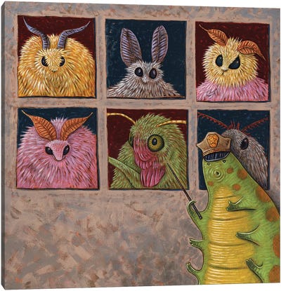 Faces Of Moth Canvas Art Print - Caterpillars