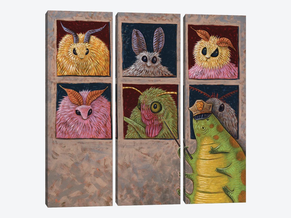 Faces Of Moth by Holly Wood 3-piece Canvas Wall Art