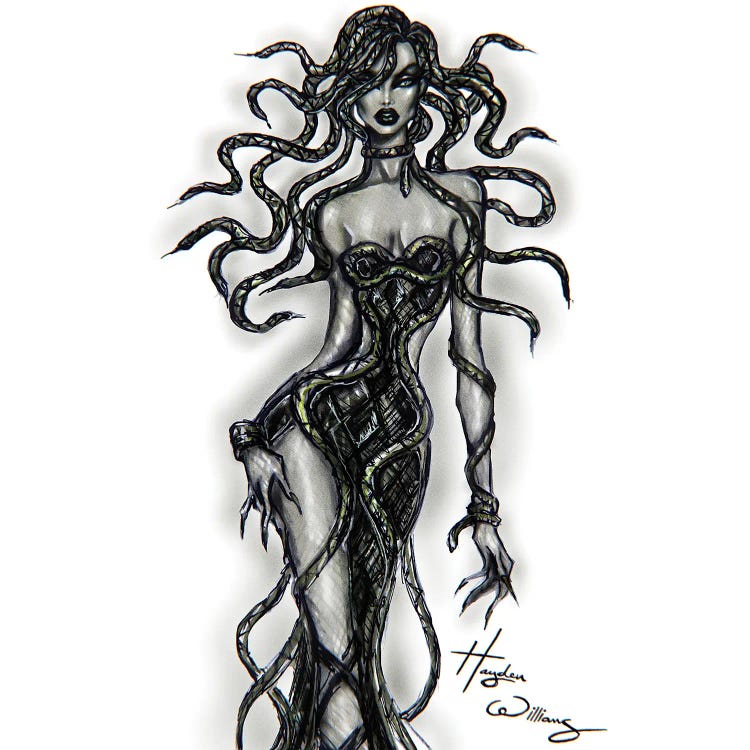 Medusa by Hayden Williams wall art