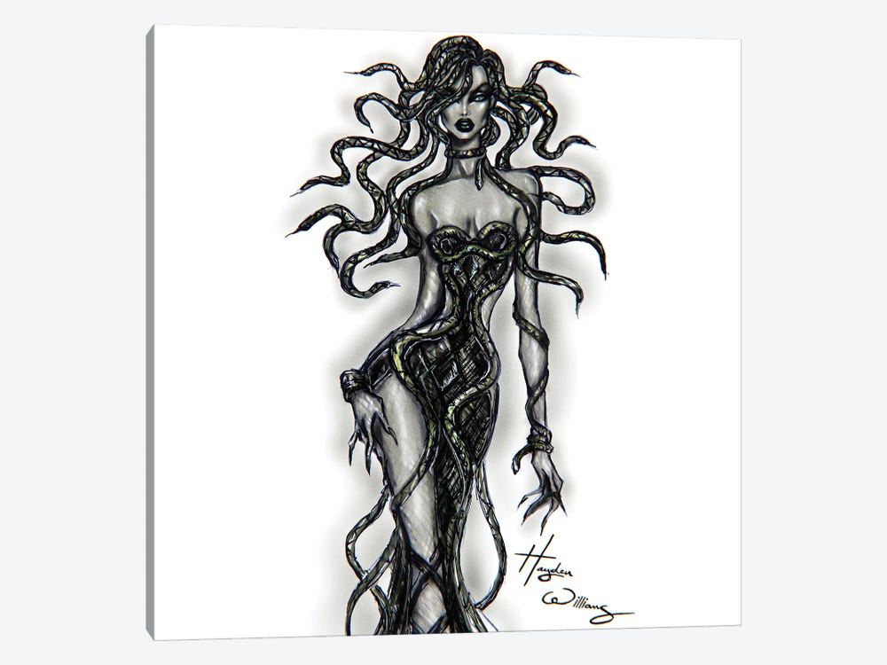 Medusa by Hayden Williams 1-piece Canvas Art
