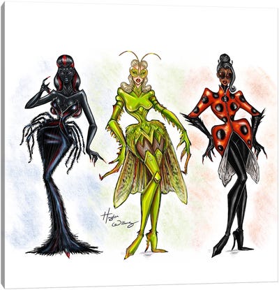 Les Insectes Collection Canvas Art Print - Hayden Williams
