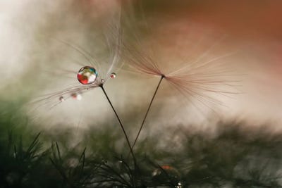 With And Without by Heidi Westum canvas print