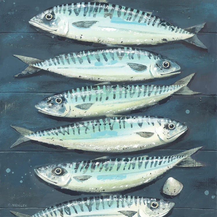 Six Mackerel And A Cockle