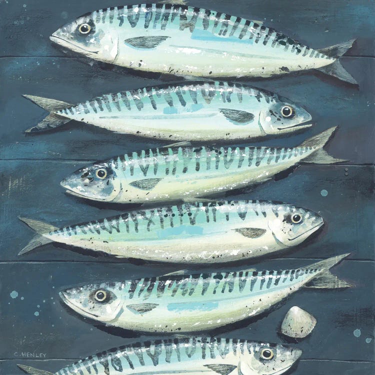 Six Mackerel And A Cockle by Claire Henley wall art