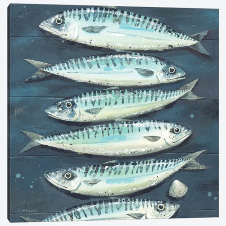 Six Mackerel And A Cockle Canvas Print #HYC106} by Claire Henley Art Print