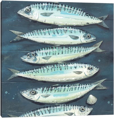 Six Mackerel And A Cockle Canvas Art Print - Claire Henley