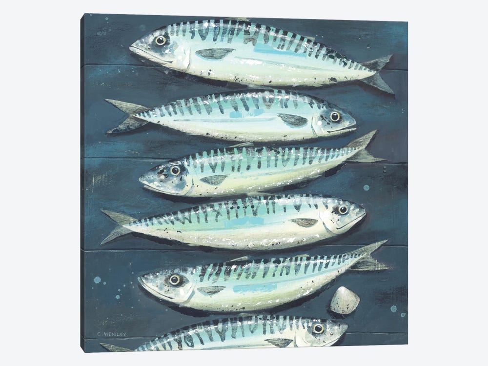 Six Mackerel And A Cockle by Claire Henley 1-piece Canvas Wall Art