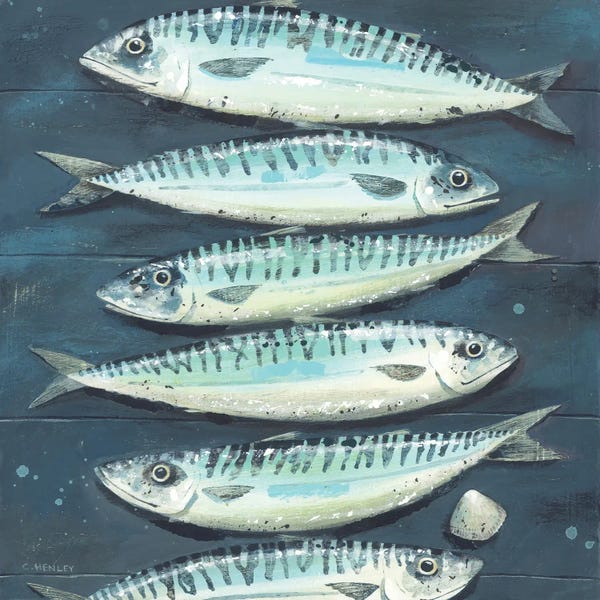 Claire Henley: Six Mackerel And A Cockle by Claire Henley