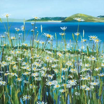 Oxeye Daisies by Claire Henley framed canvas print