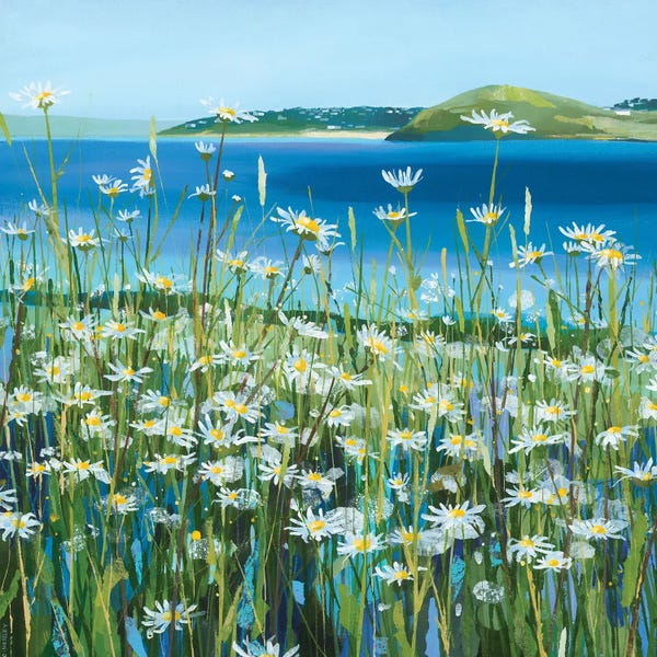 Claire Henley: Oxeye Daisies by Claire Henley