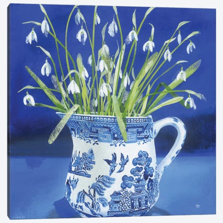 Snowdrops In The Willow Pattern Jug Canvas Print #HYC16} by Claire Henley Canvas Art