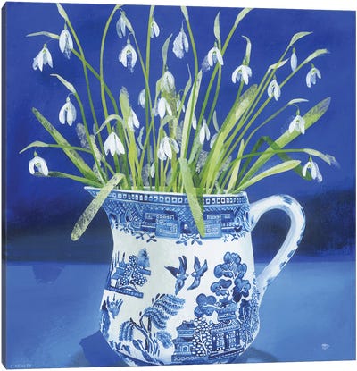 Snowdrops In The Willow Pattern Jug Canvas Art Print - Claire Henley