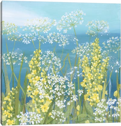 Cow Parsley And Great Mullein Canvas Art Print - Claire Henley