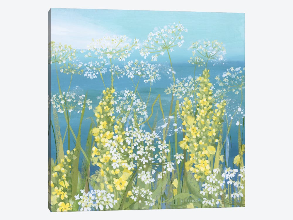 Cow Parsley And Great Mullein by Claire Henley 1-piece Canvas Art