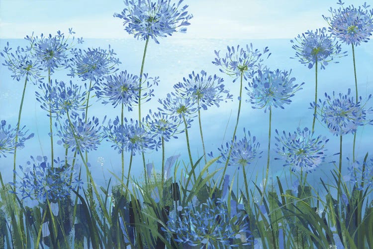 Wild Agapanthus by Claire Henley wall art
