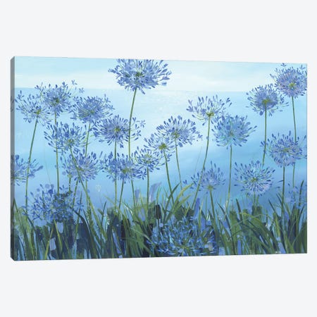 Wild Agapanthus Canvas Print #HYC20} by Claire Henley Canvas Artwork