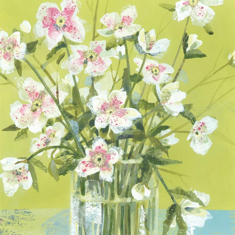Spring Hellebores by Claire Henley wall art