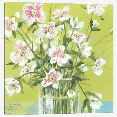 Spring Hellebores Canvas Print #HYC24} by Claire Henley Canvas Print