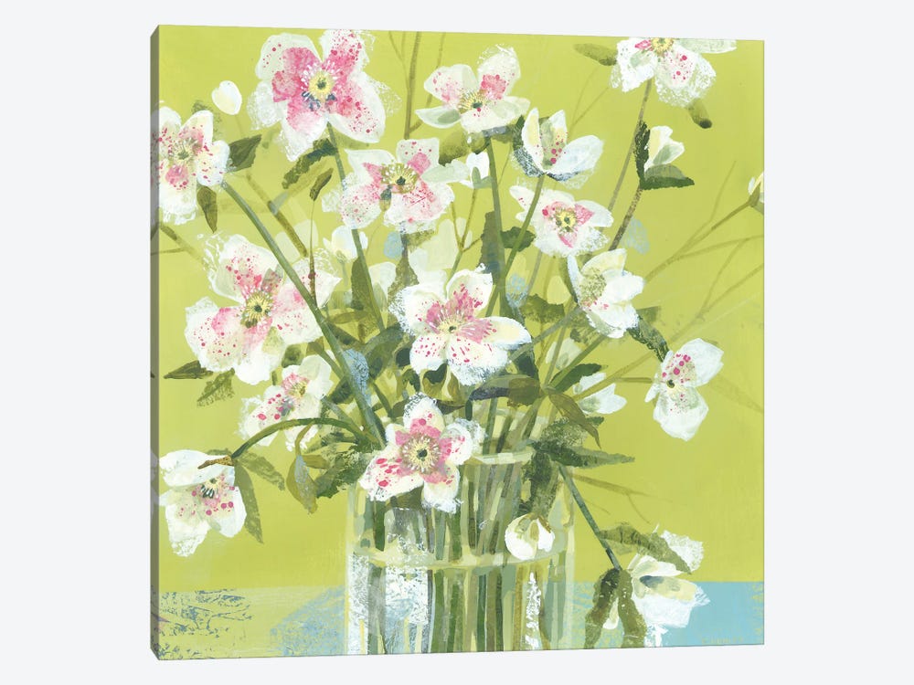 Spring Hellebores by Claire Henley 1-piece Canvas Art Print