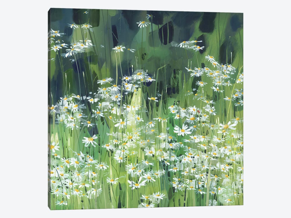 Daisies Along Boundary Lane by Claire Henley 1-piece Canvas Art