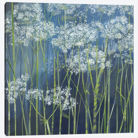 Cow Parsley Canvas Print #HYC29} by Claire Henley Canvas Artwork