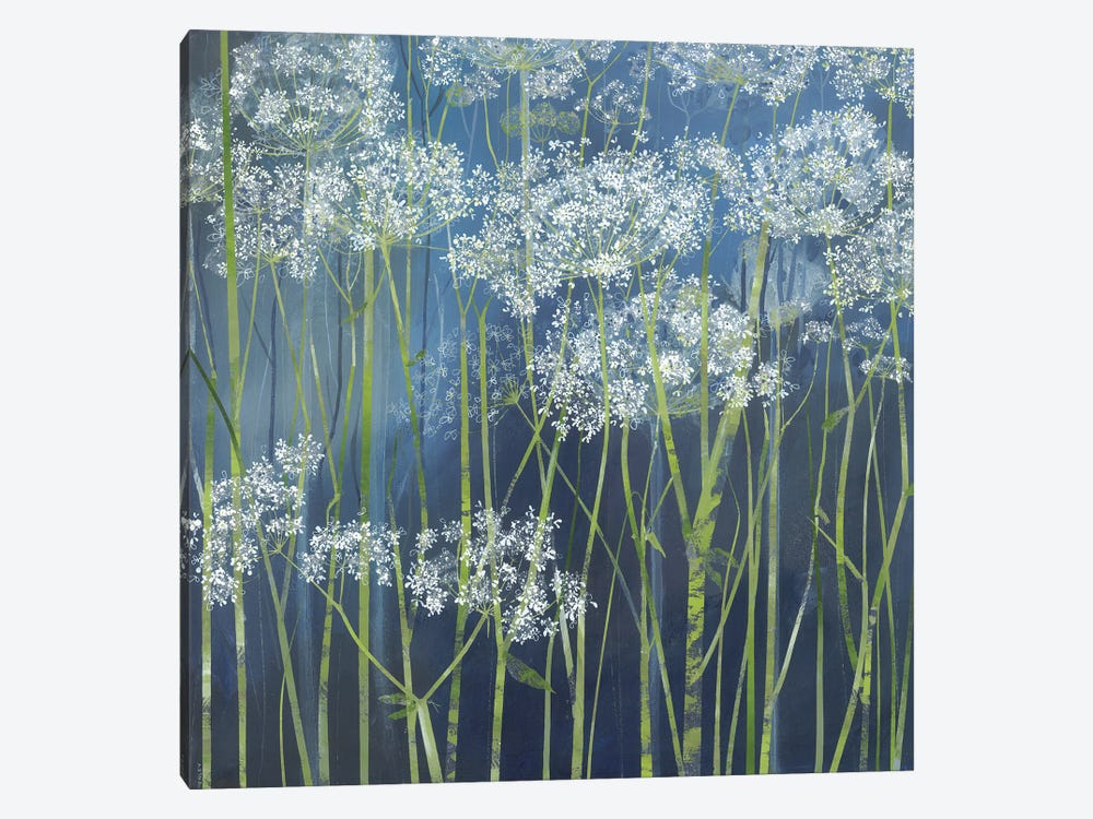 Cow Parsley by Claire Henley 1-piece Canvas Artwork