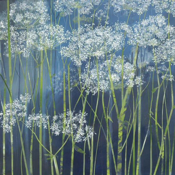 Claire Henley: Cow Parsley by Claire Henley