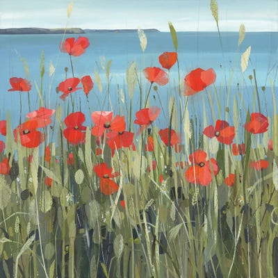 Gerrans Bay Poppies by Claire Henley framed canvas print