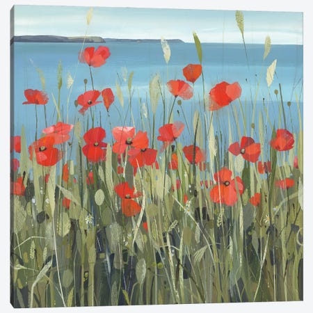 Gerrans Bay Poppies Canvas Print #HYC31} by Claire Henley Art Print