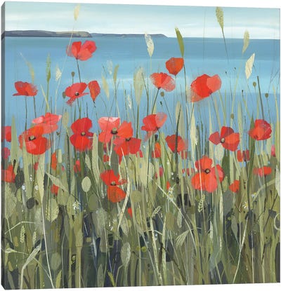 Gerrans Bay Poppies Canvas Art Print - Claire Henley