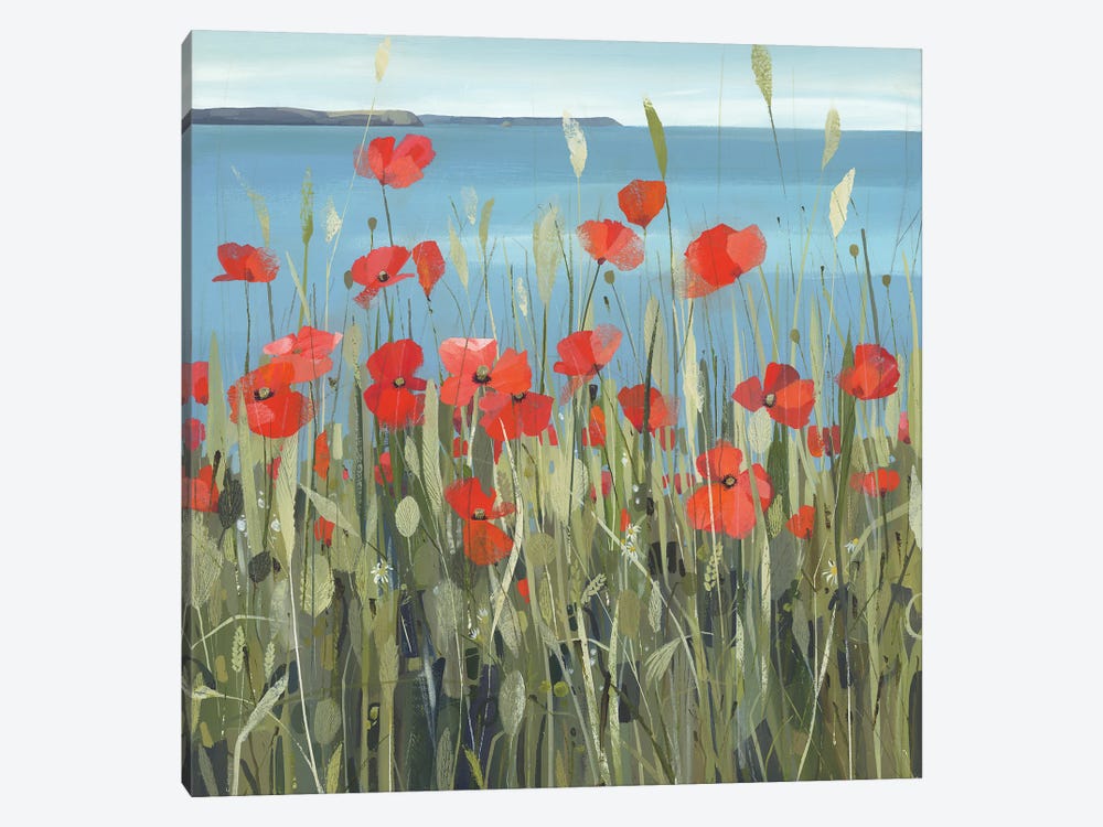 Gerrans Bay Poppies by Claire Henley 1-piece Canvas Print