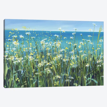 Charlock And Daisies Canvas Print #HYC32} by Claire Henley Canvas Art Print